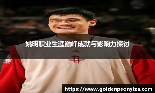 姚明职业生涯巅峰成就与影响力探讨