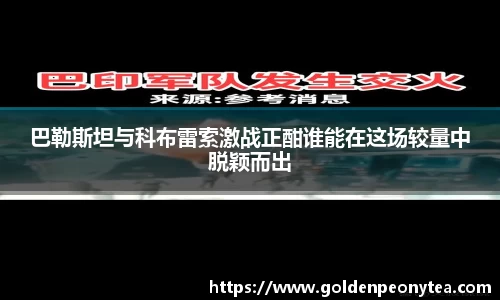 星空电竞平台