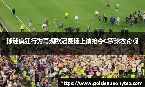 星空电竞平台